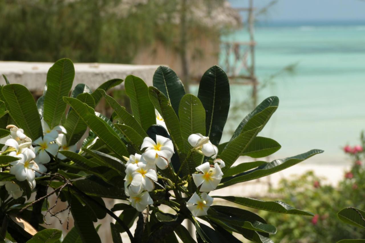 Villa Kiota Paje Luaran gambar